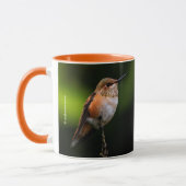 Adorable Rufous Hummingbird auf dem Zweig Tasse (Links)