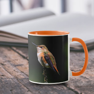 Adorable Rufous Hummingbird auf dem Zweig Tasse