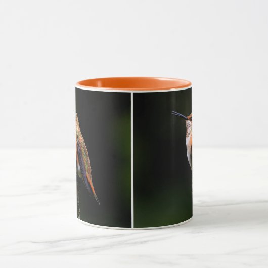 Adorable Rufous Hummingbird auf dem Zweig Tasse (Zentrum)