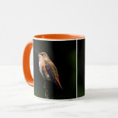 Adorable Rufous Hummingbird auf dem Zweig Tasse (Vorderseite Links)
