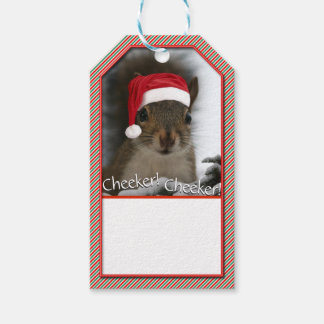 Adorable Santa Squirrel™ Weihnachtsmannmütze trage Geschenkanhänger