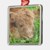 Adorable Scottish Highland Calf Ornament Aus Metall (Links)