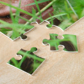 Adorable Scottish Highland Calf Puzzle (Seite)