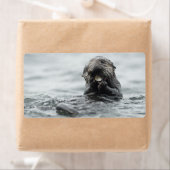 Adorable Sea Otter (Insitu)