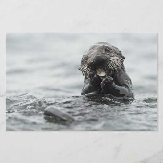 Adorable Sea Otter Briefpapier (Vorderseite)