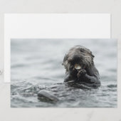 Adorable Sea Otter Briefpapier (Vorne/Hinten)