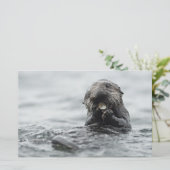 Adorable Sea Otter Briefpapier (Stehend Vorderseite)
