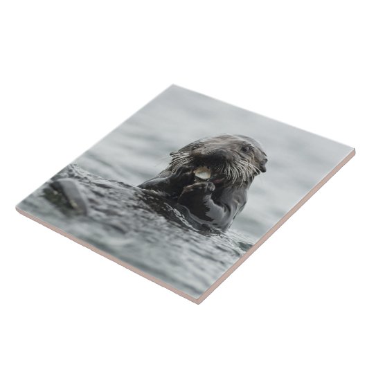 Adorable Sea Otter Fliese (Seite)