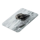 Adorable Sea Otter Magnet (Linke Seite)