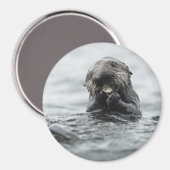 Adorable Sea Otter Magnet (Vorderseite/Rückseite)