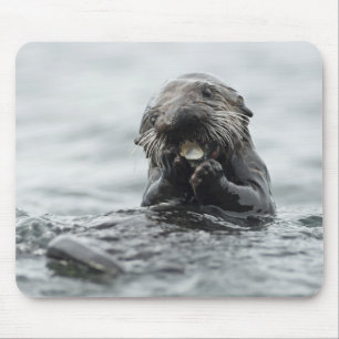 Adorable Sea Otter Mousepad