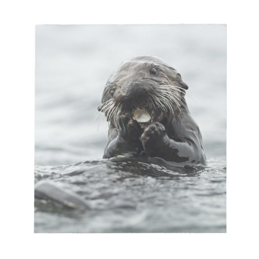 Adorable Sea Otter Notizblock (Vorderseite)