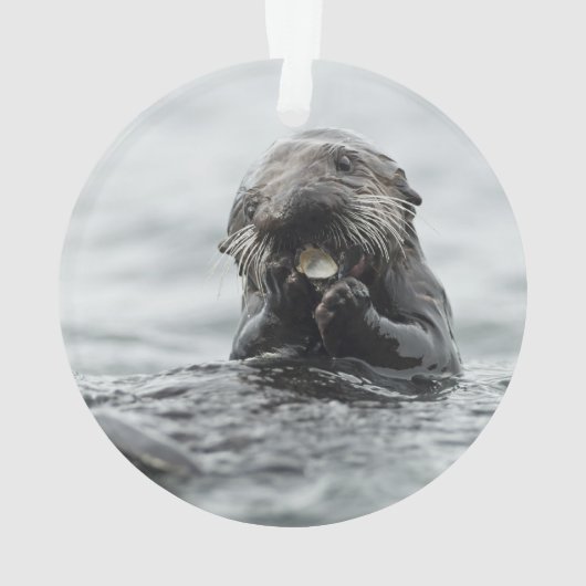 Adorable Sea Otter Ornament (Rückseite)