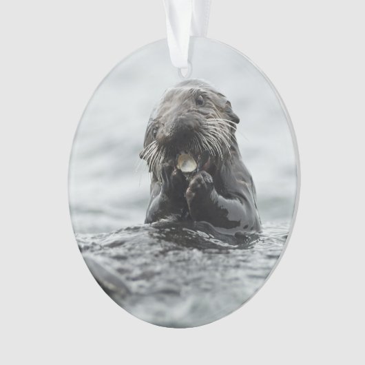 Adorable Sea Otter Ornament (Vorderseite)