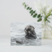 Adorable Sea Otter Postkarte (Stehend Vorderseite)