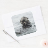 Adorable Sea Otter Quadratischer Aufkleber (Umschlag)