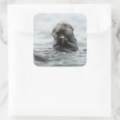 Adorable Sea Otter Quadratischer Aufkleber (Tasche)