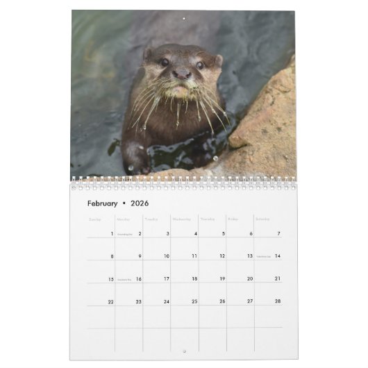 Adorable Sea Otters 2026 Kalender (Feb 2026)