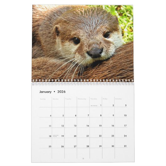 Adorable Sea Otters 2026 Kalender (Jan 2026)