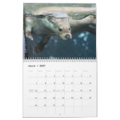 Adorable Sea Otters 2026 Kalender (Mär 2027)
