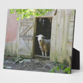 Adorable Sheep Fotoplatte (Seite)