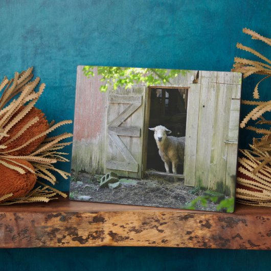 Adorable Sheep Fotoplatte (Seite)