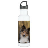Adorable Sheltie Edelstahlflasche (Vorderseite)