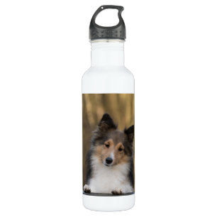 Adorable Sheltie Edelstahlflasche