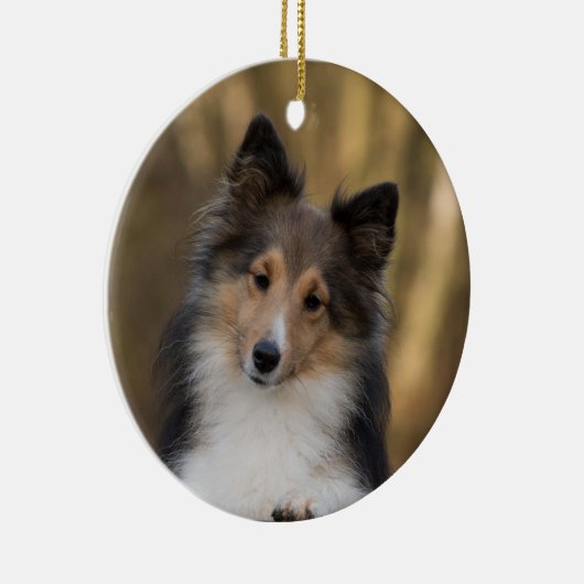 Adorable Sheltie Keramik Ornament (Rechts)