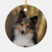 Adorable Sheltie Keramik Ornament (Vorne)
