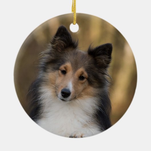 Adorable Sheltie Keramik Ornament (Hinten)