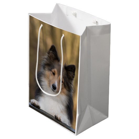 Adorable Sheltie, Shetland Sheepdog Mittlere Geschenktüte (Vorderseite Schrägansicht)