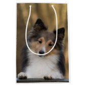 Adorable Sheltie, Shetland Sheepdog Mittlere Geschenktüte (Vorderseite)