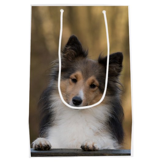 Adorable Sheltie, Shetland Sheepdog Mittlere Geschenktüte (Rückseite)
