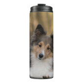 Adorable Sheltie Thermosbecher (Vorderseite)