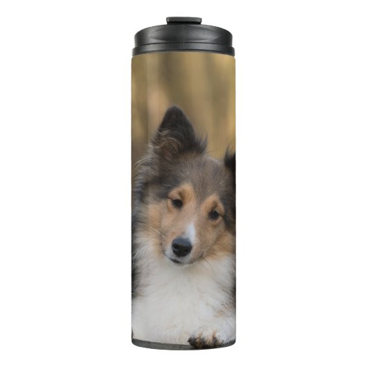 Adorable Sheltie Thermosbecher (Vorderseite)