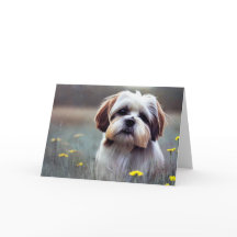 Adorable Shih Tzu Birthday
