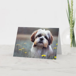 Adorable Shih Tzu Birthday Karte