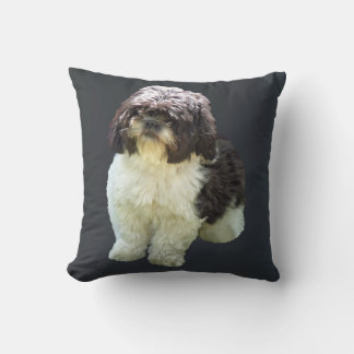 Adorable Shih Tzu Puppy Kissen