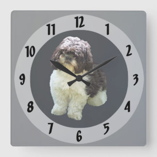 Adorable Shih Tzu Puppy Quadratische Wanduhr