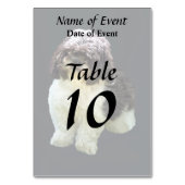 Adorable Shih Tzu Puppy Tischnummer (Rückseite)