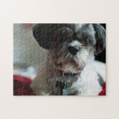 Adorable Shih Tzu Puzzle (Horizontal)