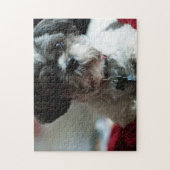 Adorable Shih Tzu Puzzle (Vertikal)