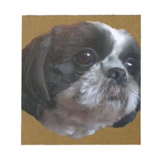 Adorable Shih tzu Rico Notizblock