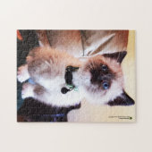 Adorable Siamese Kitten Blue Eye Nah-up Foto Puzzle (Horizontal)