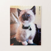Adorable Siamese Kitten Blue Eye Nah-up Foto Puzzle (Vertikal)