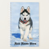 Adorable sibirische Husky Welpe im Schnee Planer (Vorderseite)