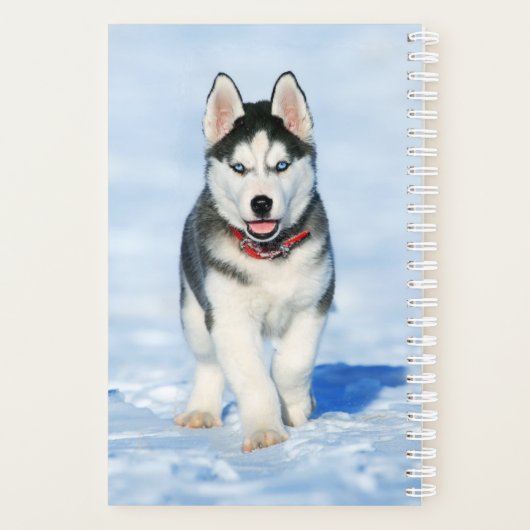 Adorable sibirische Husky Welpe im Schnee Planer (Rückseite)