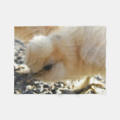 Adorable Silkie Chick Fleece Blanket (Vorderseite (Horizontal))