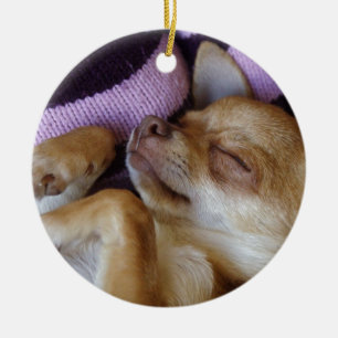 Adorable Sleeping Chihuahua Welpe Keramik Ornament